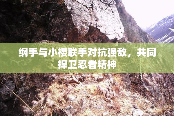 纲手与小樱联手对抗强敌，共同捍卫忍者精神