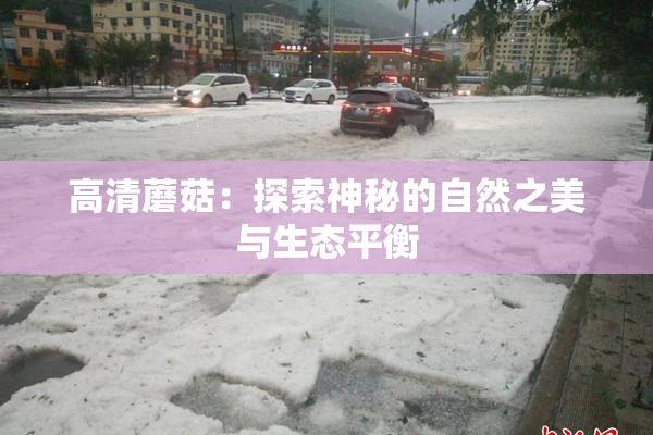 高清蘑菇：探索神秘的自然之美与生态平衡