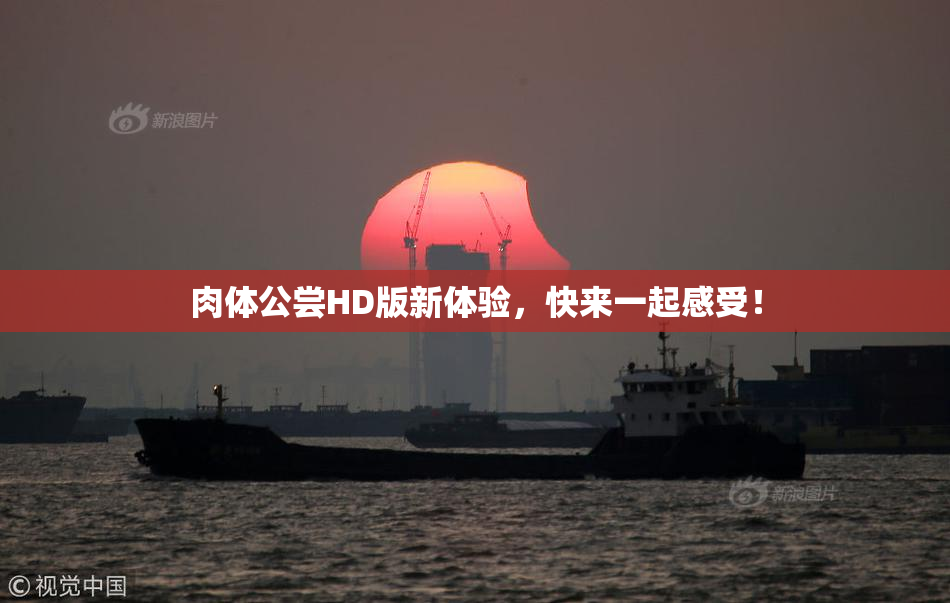 肉体公尝HD版新体验，快来一起感受！