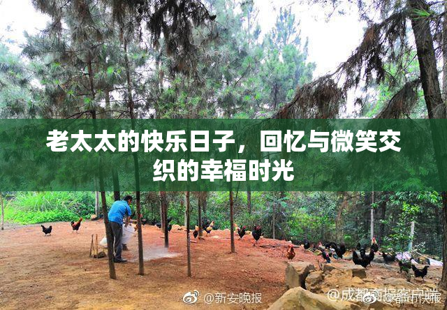 老太太的快乐日子，回忆与微笑交织的幸福时光
