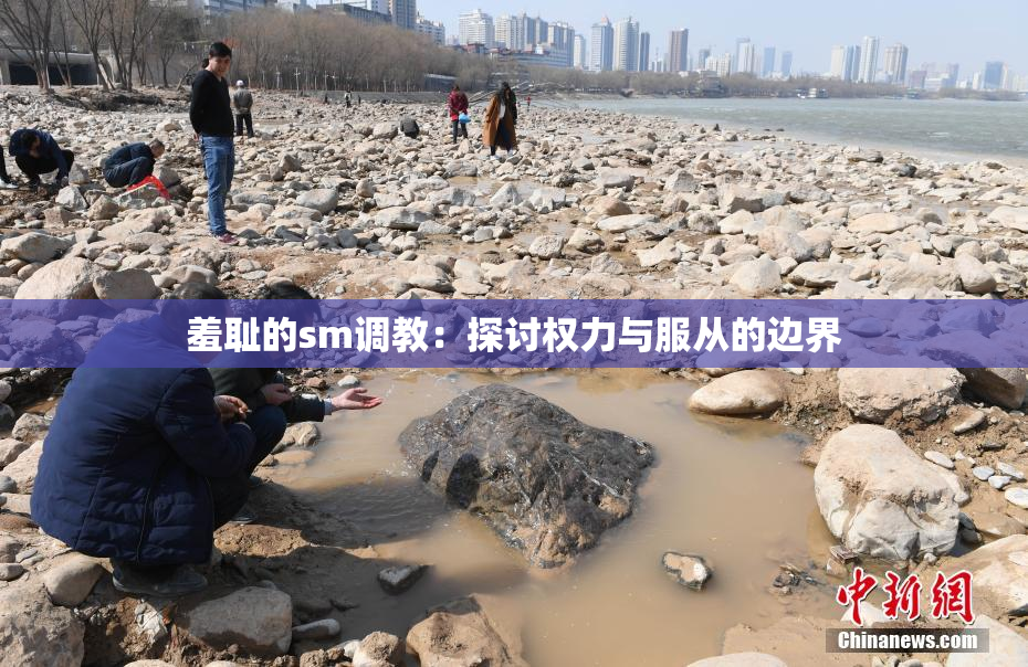 羞耻的sm调教：探讨权力与服从的边界