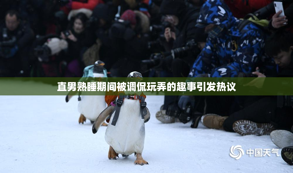 直男熟睡期间被调侃玩弄的趣事引发热议