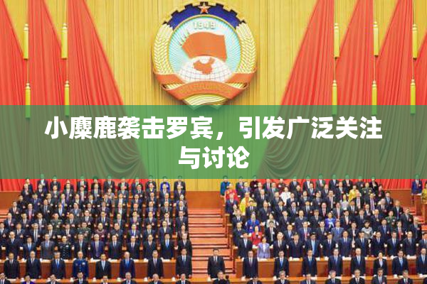 小麋鹿袭击罗宾，引发广泛关注与讨论