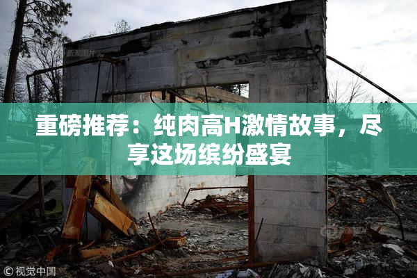 重磅推荐：纯肉高H激情故事，尽享这场缤纷盛宴