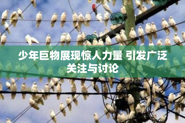 少年巨物展现惊人力量 引发广泛关注与讨论