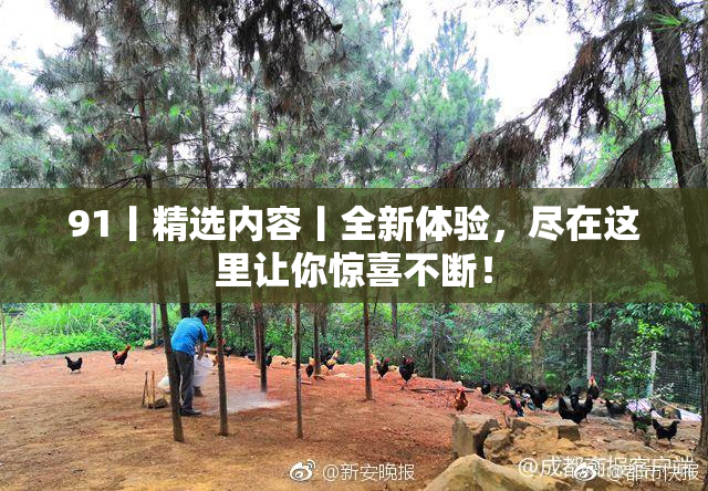 91丨精选内容丨全新体验，尽在这里让你惊喜不断！