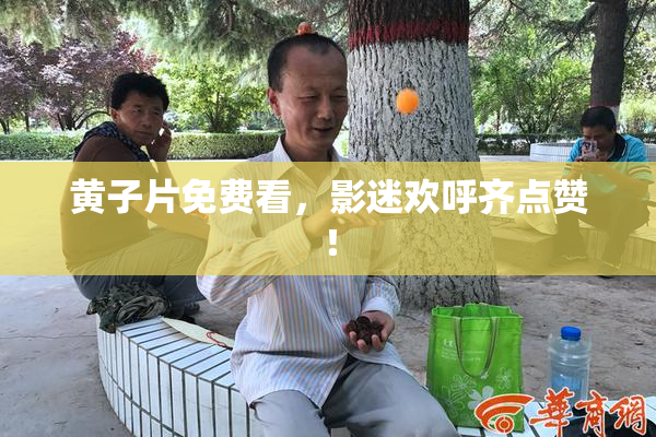 黄子片免费看，影迷欢呼齐点赞！