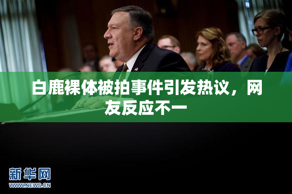 白鹿裸体被拍事件引发热议，网友反应不一