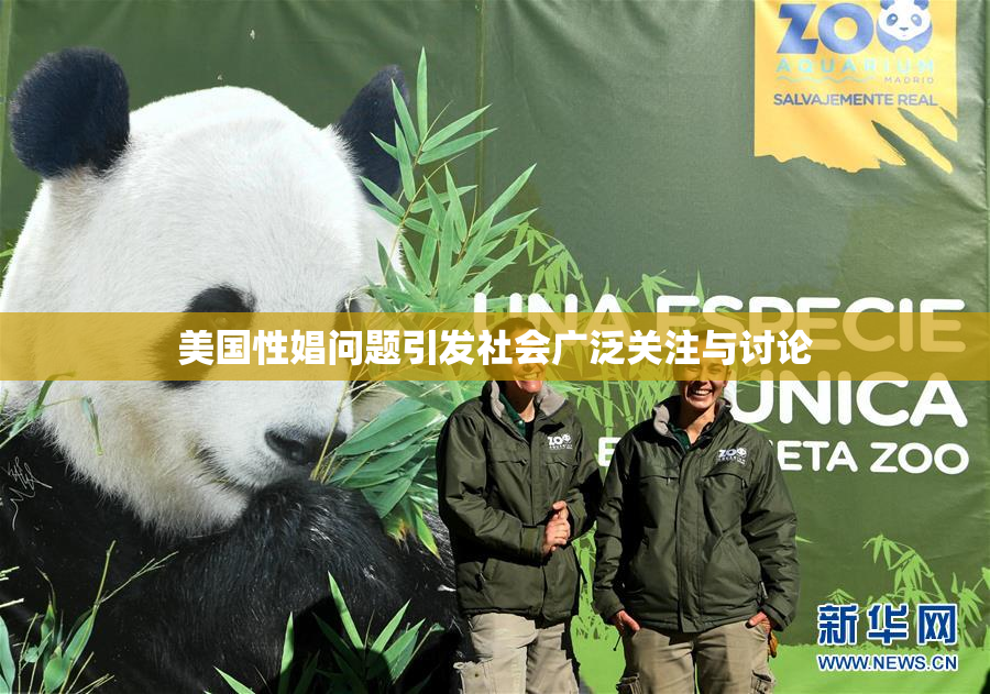 美国性娼问题引发社会广泛关注与讨论