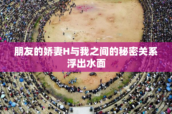 朋友的娇妻H与我之间的秘密关系浮出水面