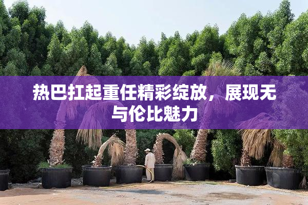 热巴扛起重任精彩绽放，展现无与伦比魅力