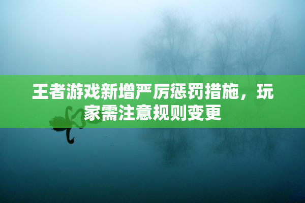 王者游戏新增严厉惩罚措施，玩家需注意规则变更