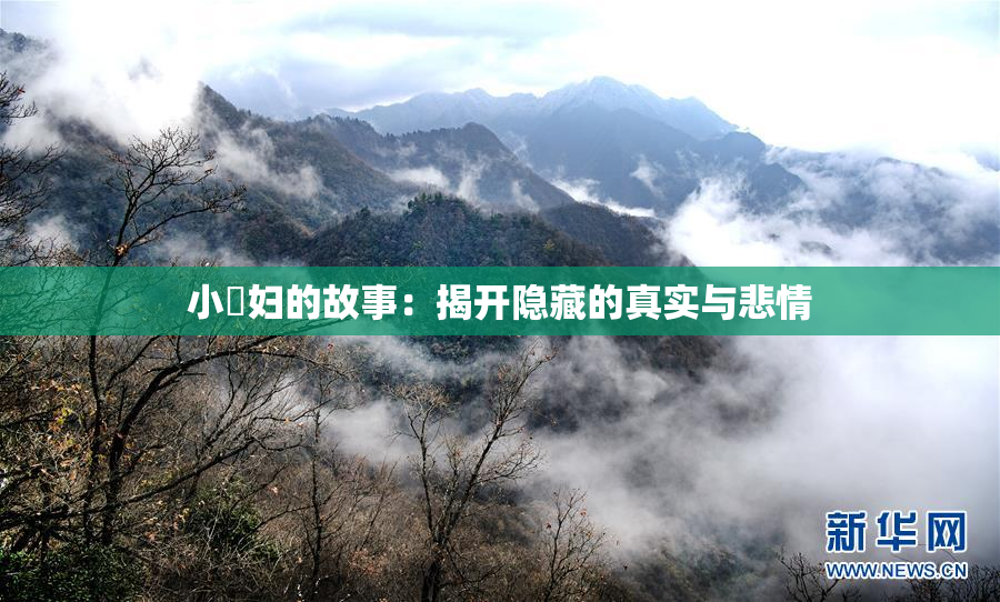 小婬妇的故事：揭开隐藏的真实与悲情