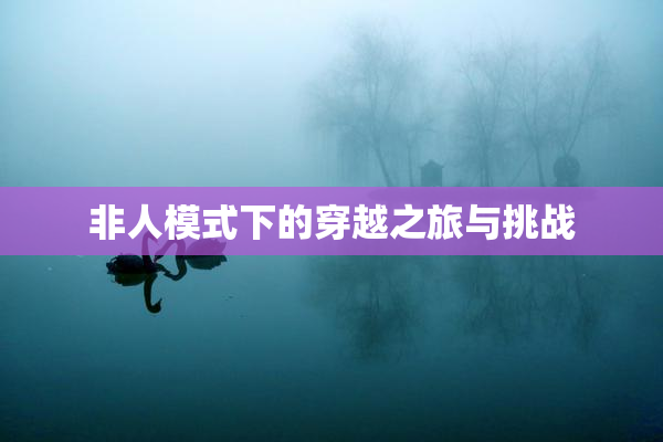 非人模式下的穿越之旅与挑战