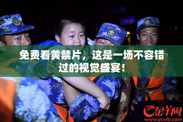 免费看黄禁片，这是一场不容错过的视觉盛宴！