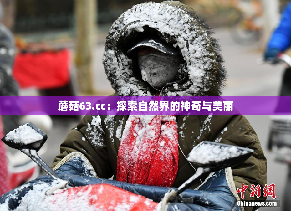 蘑菇63.㏄：探索自然界的神奇与美丽
