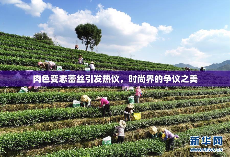 肉色变态蕾丝引发热议，时尚界的争议之美