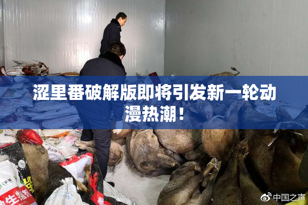 涩里番破解版即将引发新一轮动漫热潮！
