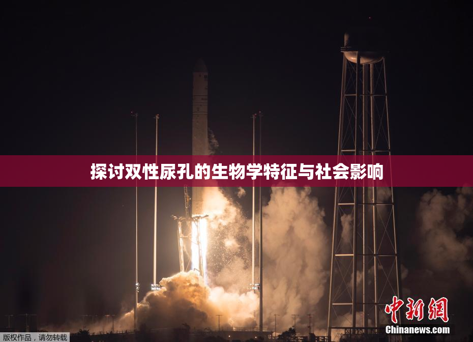 探讨双性尿孔的生物学特征与社会影响