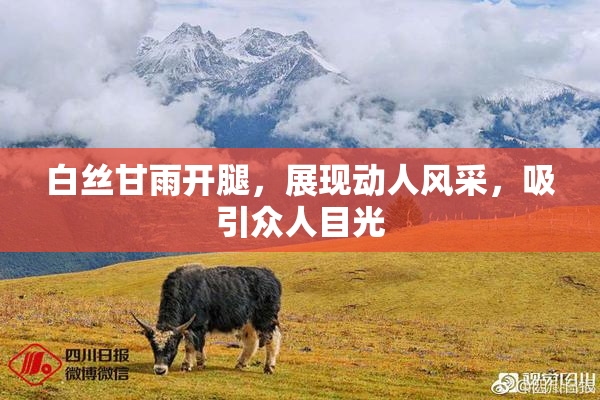 白丝甘雨开腿，展现动人风采，吸引众人目光
