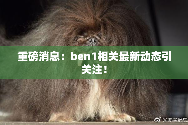 重磅消息：ben1相关最新动态引关注！