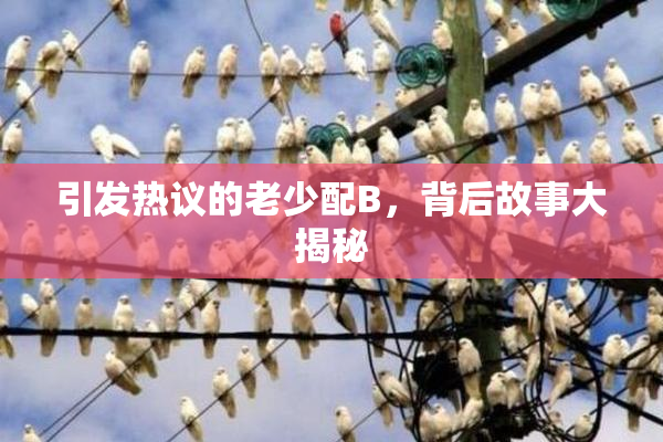引发热议的老少配B，背后故事大揭秘