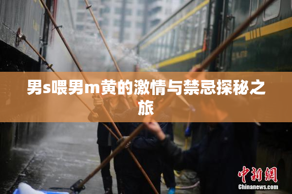 男s喂男m黄的激情与禁忌探秘之旅