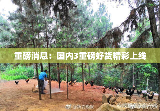 重磅消息：国内3重磅好货精彩上线