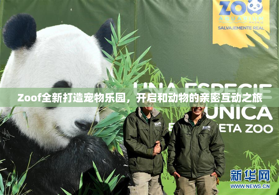 Zoof全新打造宠物乐园，开启和动物的亲密互动之旅