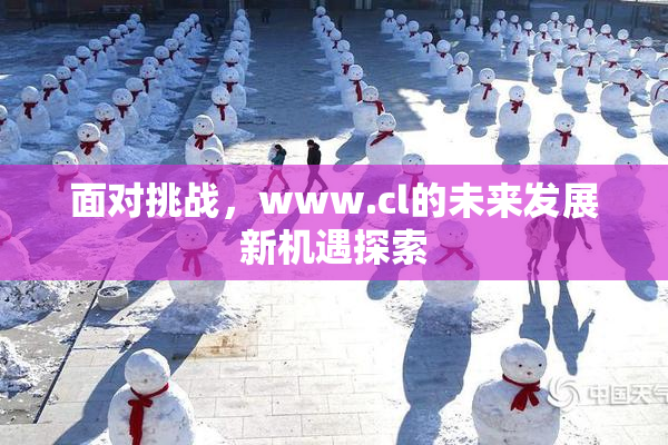 面对挑战，www.cl的未来发展新机遇探索