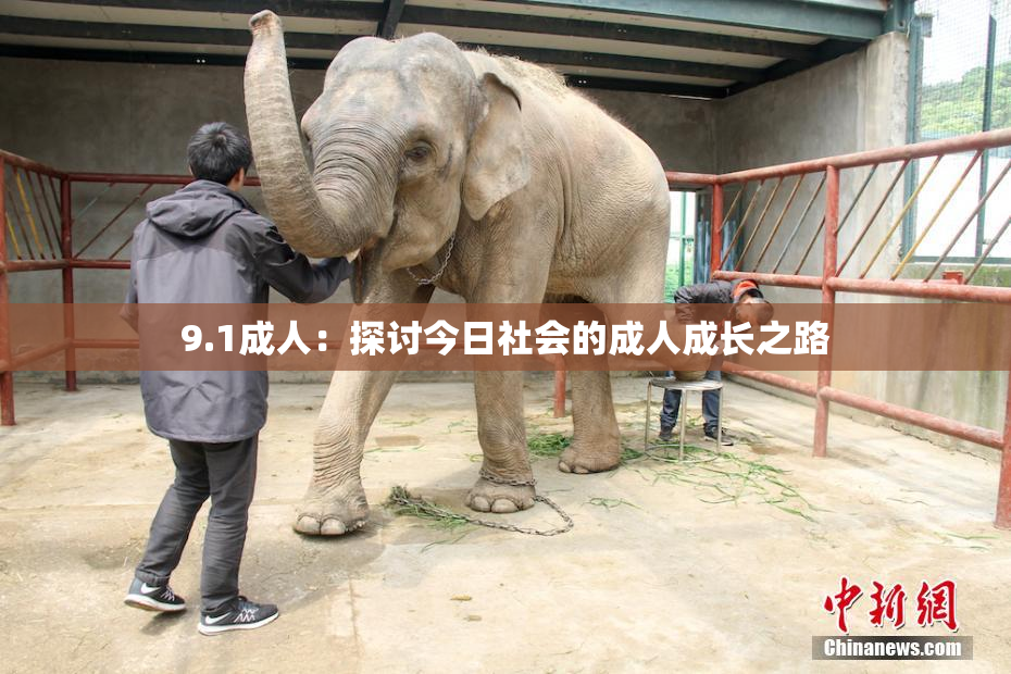9.1成人：探讨今日社会的成人成长之路