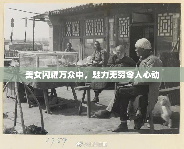 美女闪耀万众中，魅力无穷令人心动