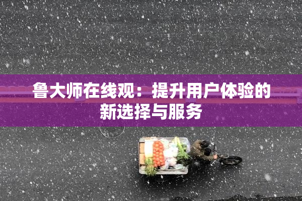 鲁大师在线观：提升用户体验的新选择与服务