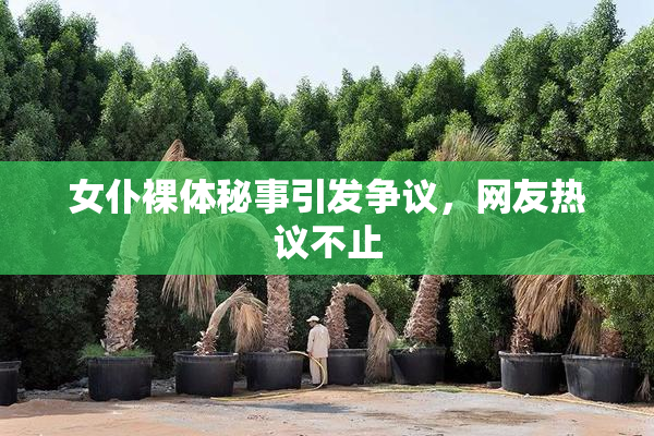 女仆裸体秘事引发争议，网友热议不止