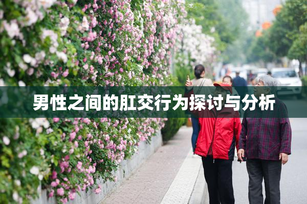 男性之间的肛交行为探讨与分析