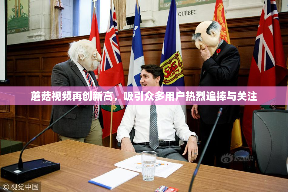 蘑菇视频再创新高，吸引众多用户热烈追捧与关注