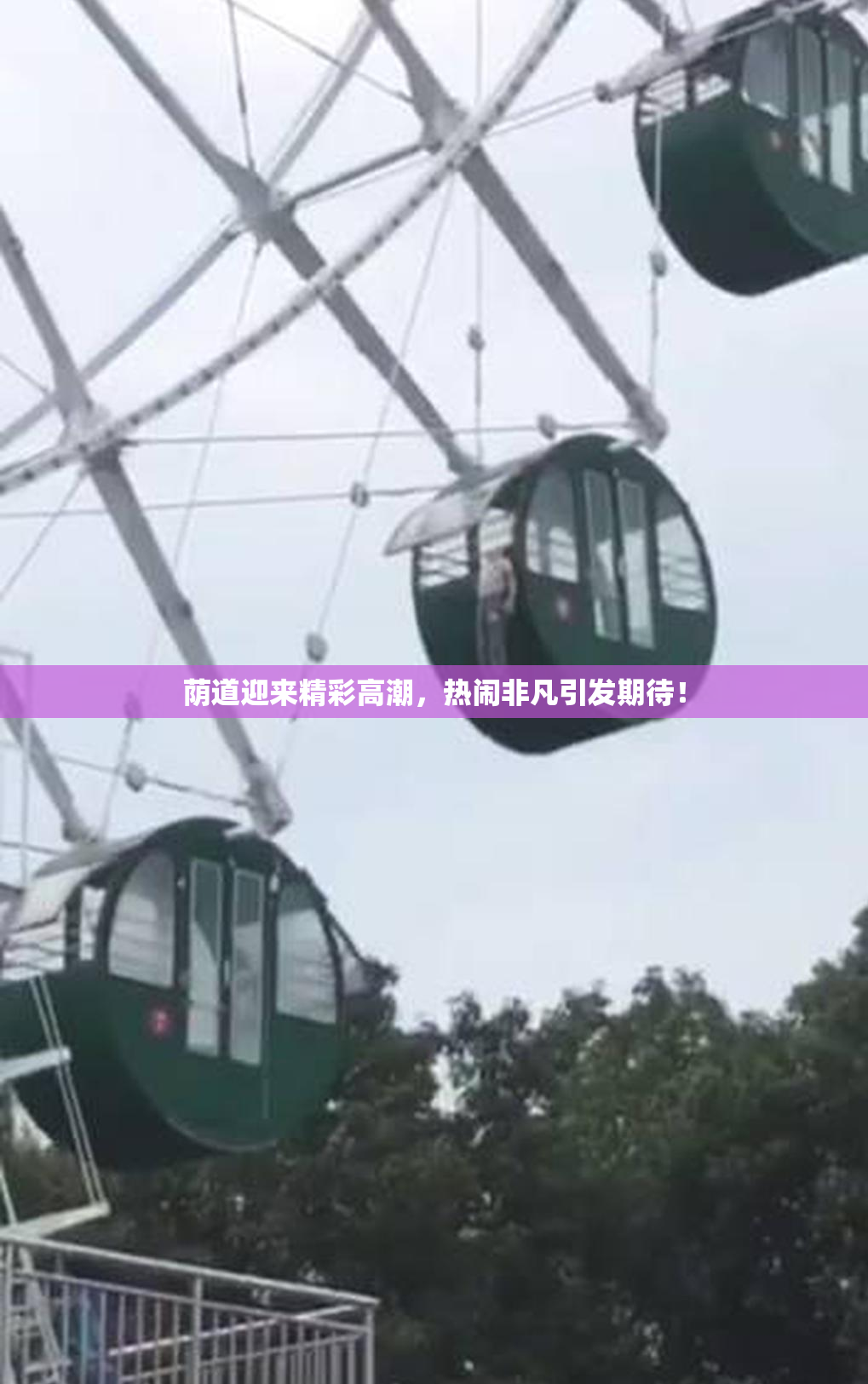 荫道迎来精彩高潮，热闹非凡引发期待！
