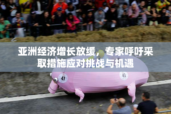 亚洲经济增长放缓，专家呼吁采取措施应对挑战与机遇