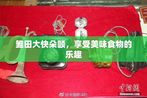 雏田大快朵颐，享受美味食物的乐趣