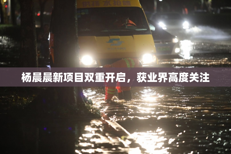杨晨晨新项目双重开启，获业界高度关注