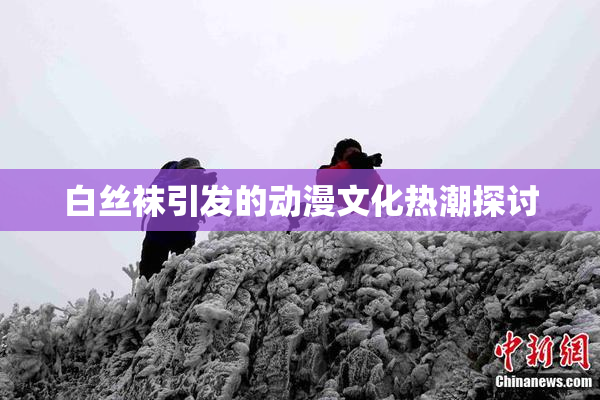 白丝袜引发的动漫文化热潮探讨