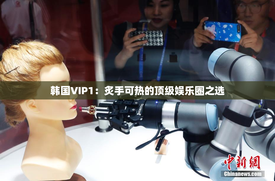 韩国VIP1：炙手可热的顶级娱乐圈之选