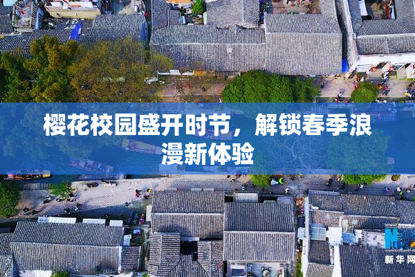 樱花校园盛开时节，解锁春季浪漫新体验