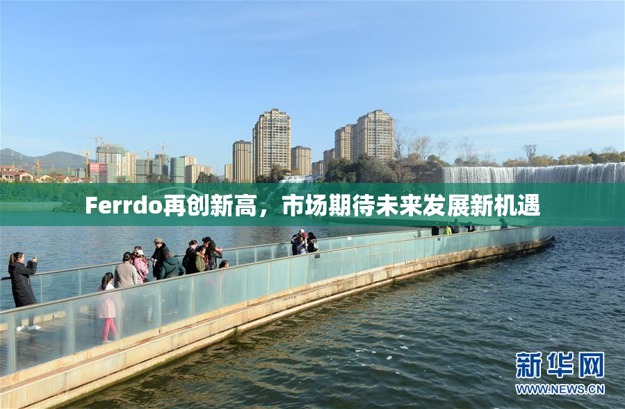 Ferrdo再创新高，市场期待未来发展新机遇