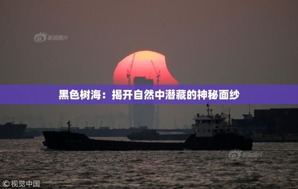 黑色树海：揭开自然中潜藏的神秘面纱