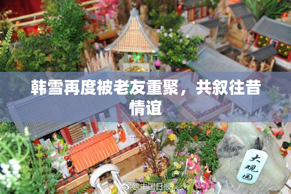 韩雪再度被老友重聚，共叙往昔情谊