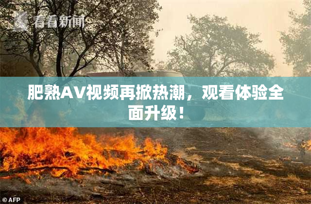 肥熟AV视频再掀热潮，观看体验全面升级！