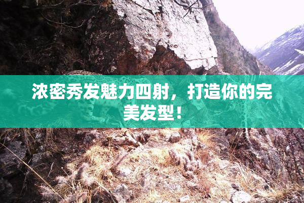 浓密秀发魅力四射，打造你的完美发型！