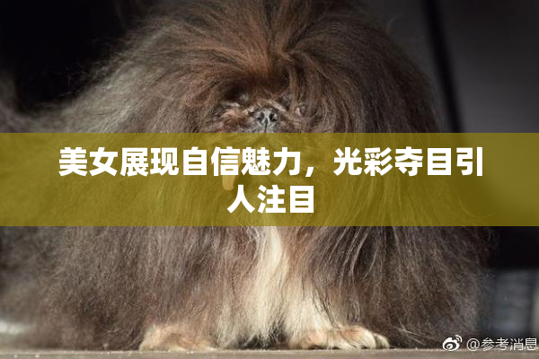 美女展现自信魅力，光彩夺目引人注目