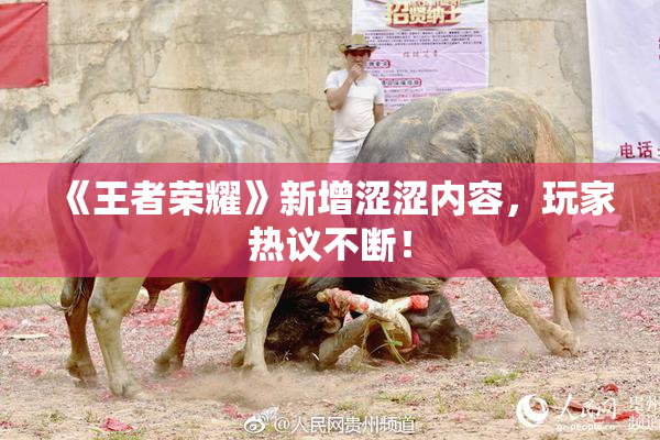 《王者荣耀》新增涩涩内容，玩家热议不断！